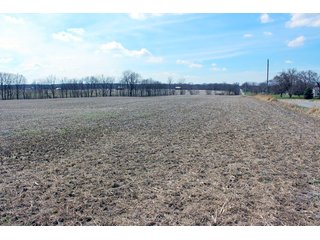 Property photo 5 - REAL ESTATE AUCTION - 17.62+/- ACRES OFFERED IN 2 TRACTS